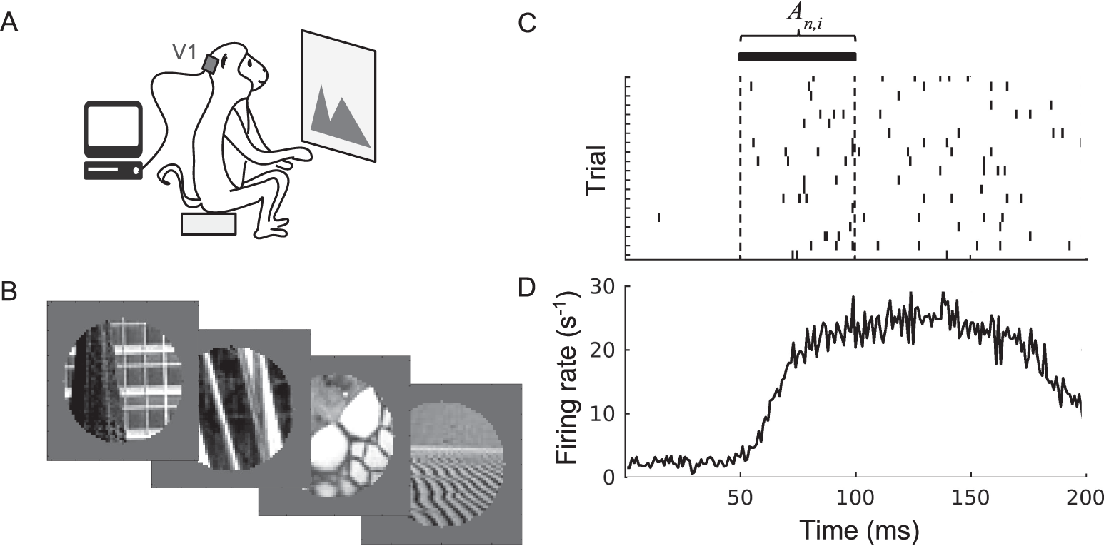 Experimental data collection and processing.